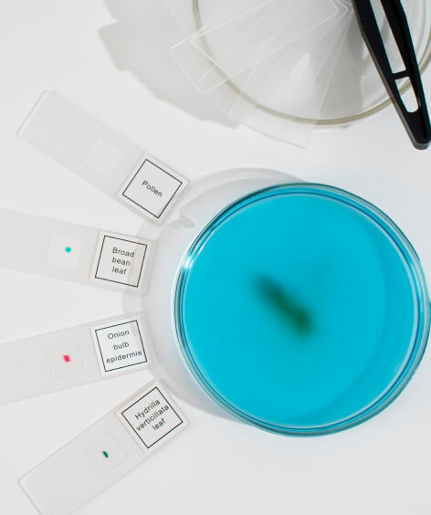 Pursuing excellence through rigorous testing